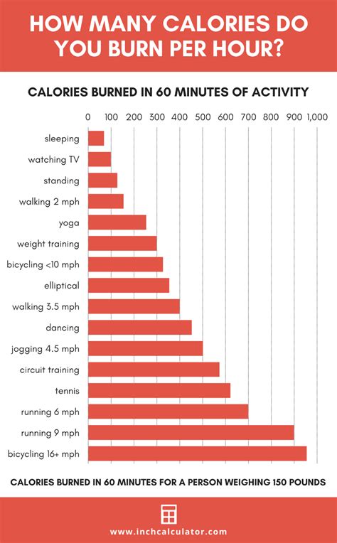 Burn This Number of Calories in a Day to Lose .